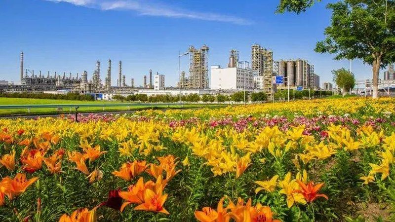 广州有机化工原料批发市场的全景扫描